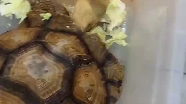 【 不管多急 】🌷一定要坚持下去 ✊不懂套路，只有真诚，真诚的对侍身边的每一个人，择善而处，择品而交 [合十][合十][合十]