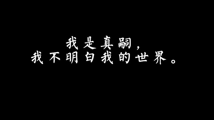 真嗣的世界