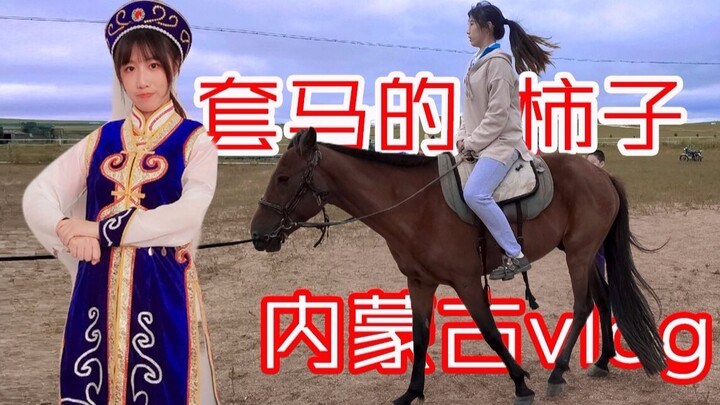 【Buah Kesemek】Kesemek yang 'menjerat kuda', sungguh gagah perkasa! 【Vlog Mongolia Dalam】