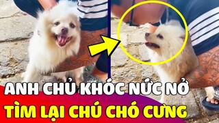 Người chủ bật khóc 'NỨC NỞ' khi tìm lại được 'CHÚ CÚN CƯNG' khiến ai nấy xúc động 🥰 | Gâu Đần