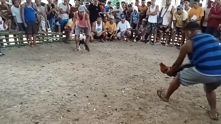 Oct 31 Undas Labanan