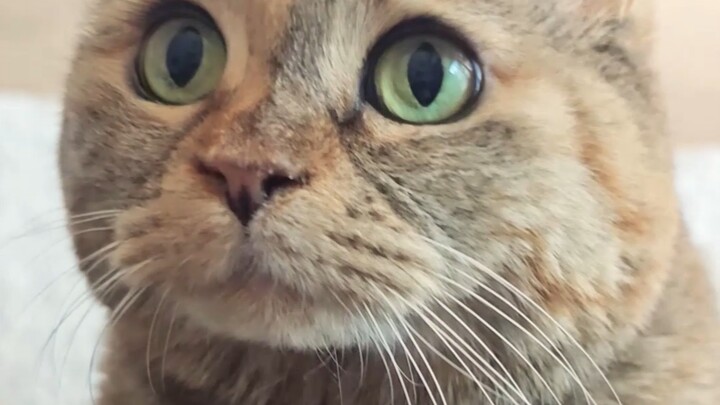 Huh? Aren't you going to feed me?