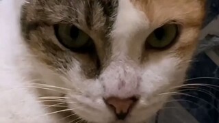 VID_20240126-Foamie (2)