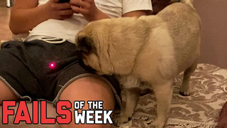 วิธีทำให้เพื่อนของคุณคลั่งไคล้ - ความล้มเหลวของสัปดาห์ กองทัพล้มเหลว