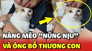 Nàng Mèo nũng nịu và ông Bố THƯƠNG CON nhất hệ mặt trời 😍 | Yêu Lu