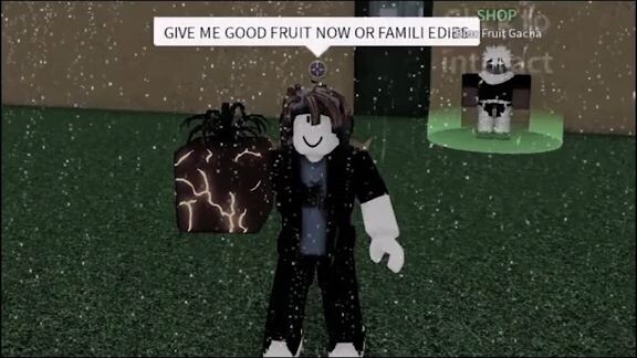 Fruit in blox fruit