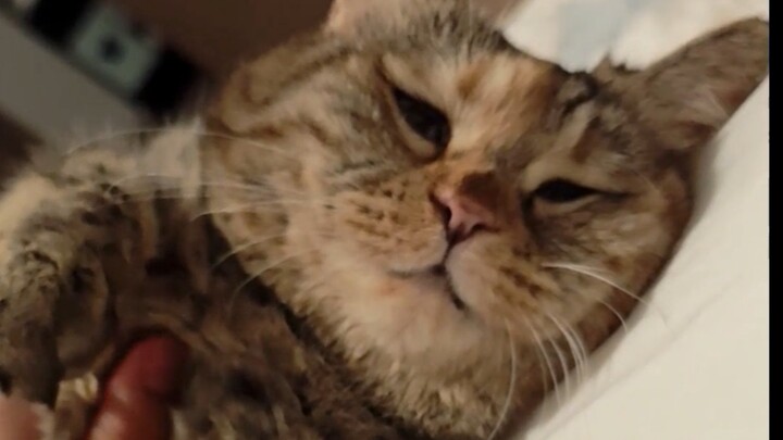 قالت أمي إنها تحاول أن تجعلني أنام