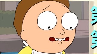 [Rick and Morty] So weird! Is this an intrusion into the main plot? The whole family has become weir