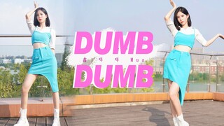 你的甜妹已到请签收 |《DUMB DUMB》