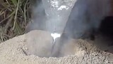 Dùng nhôm nhiệt độ cao để đúc lối vào của đàn kiến lửa, sau khi đào ra và làm sạch, có thể nhìn sơ q
