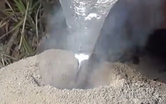 Use high-temperature aluminum to cast the entrance of the fire ant colony. After digging out and cle