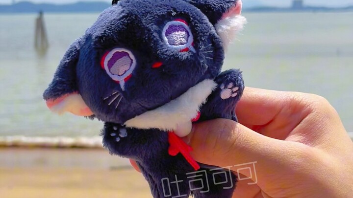 This cat keeps crying, what should I do?