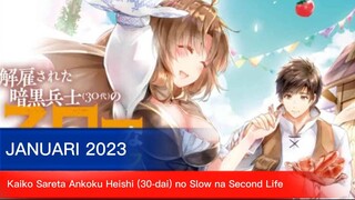 REVIEW Kaiko Sareta Ankoku Heishi (30-dai) no Slow na Second Life