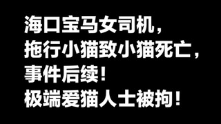 หญิงขับรถบีเอ็มดับเบิลยูในไหโข่วลากแมวน้อยจนเสียชีวิต ความคืบหน้าของเหตุการณ์