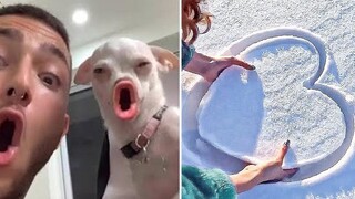 AWW SO FUNNY😂😂 Super Dogs And Cats Reaction Videos (เสียงที่ซื่อสัตย์) 34