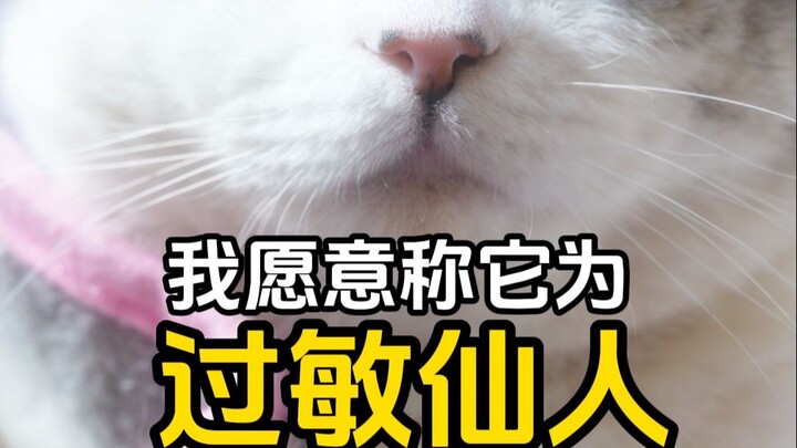 There’s a reason why some cats get abandoned.