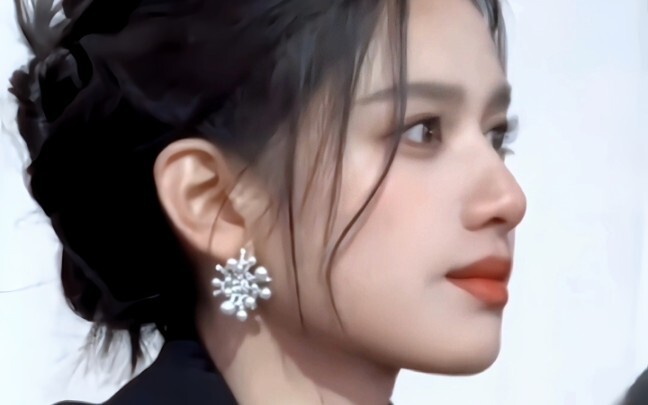 High-Ranking Cadre Novel Female Lead