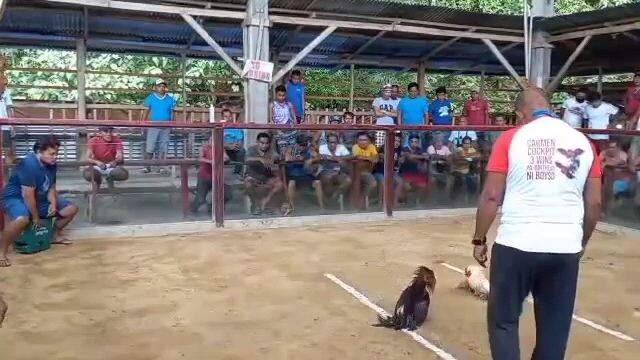 kulang sa swerte mga parikoy.