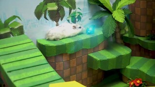 ภารกิจของหนูแฮมสเตอร์ EP 423