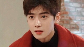 Handsome Cha Eun-woo