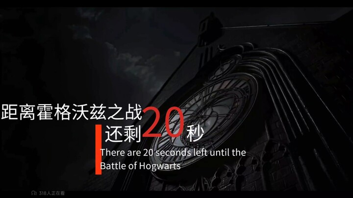 【HP】决战霍格沃兹，请选择你的巫师