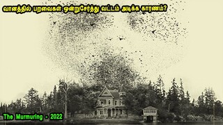 வானத்தில் பறவைகள் ஒன்றுசேர்த்து வட்டம் அடிக்க காரணம்? Tamil Dubbed Reviews & Stories of movies