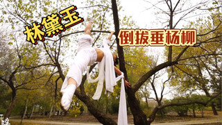 【林黛玉练管史】以前的林黛玉到现在的林黛玉！