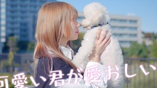 【仮面ライアー217与iripon先生】可愛い君が愛おしい！  sui 踊ってみた