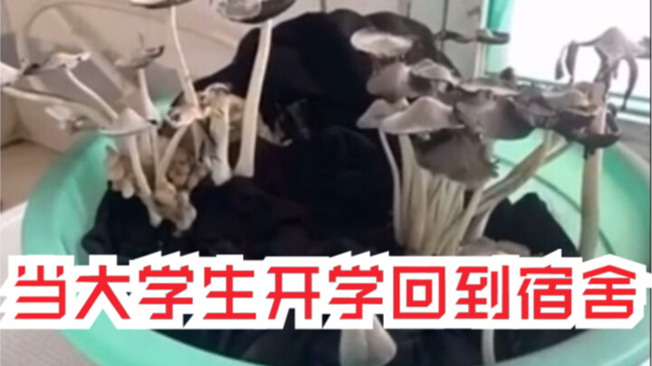 ชมความมหัศจรรย์ของหอพักเปิดเทอม