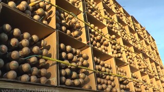 【英国疯子】用1000枚火箭烟花造成了到导弹战车