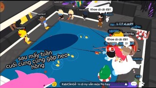 PLAY TOGETHER đi săn cá hiếm cùng mọi người vô tình gặp cá Heo Hồng HG Gamer