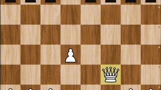 best gambit ever!!!