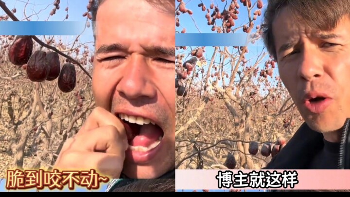 Hóa ra táo đỏ ở Tân Cương giòn, chỉ khi ra khỏi Tân Cương mới mềm.