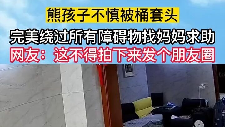 Little rascal accidentally gets a bucket over their head and squeezes through every obstacle to find