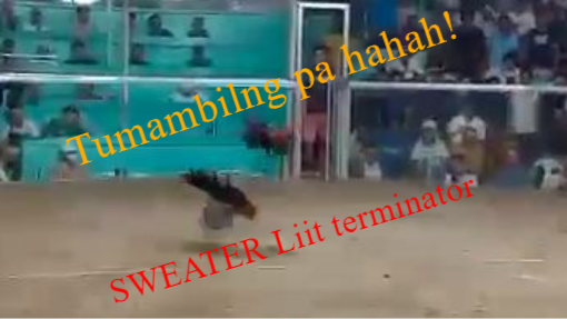 SWEATER LIIT terminator  HACKFYT! AQUINO! 3-24-24