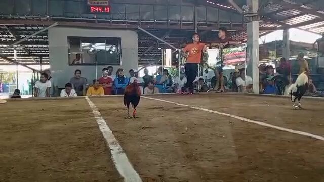 unscentednueva ecija double champion(jan4,20204)