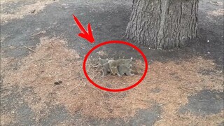 Мужчина снял на видео редкий феномен, такое бывает только раз в жизни! Это надо видеть!