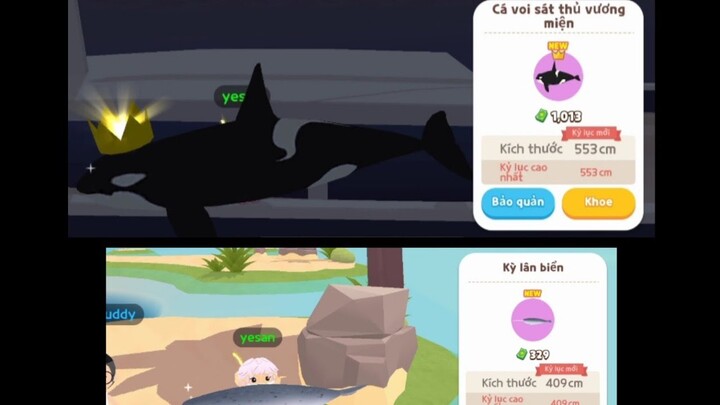 Play Together | Highlight câu cá, em kỳ lân biển và voi sát thủ vương miệng về đội.