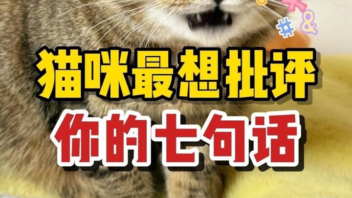 هل تعرف العبارات السبع التي تود القطة أن تنتقدك بها؟