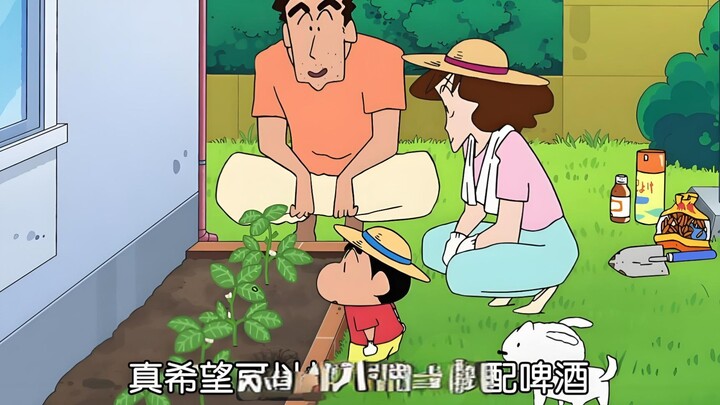总有一集你没看过！在家里种毛豆哦~毛豆配啤酒哇