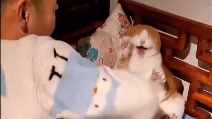 "Animals with Barrier-Free Communication"