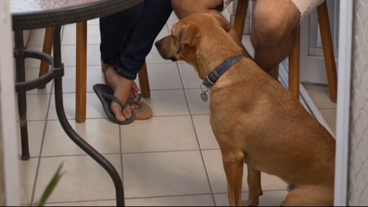 Bento Mudava de Lado Toda Vez Que Alguém Perdia no Dominó