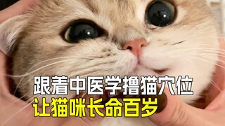 🐱 Scientific Guide to Cuddling Cats: Keeping Kittens Healthy and Happy, Staying Away from Pseudoscie