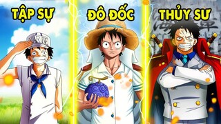 Luffy Trở Thành Hải Quân, Mọi Thứ Sẽ Ra Sao ? Vua Hải Quân Luffy