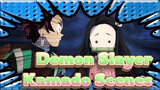 Demon Slayer|Who is the ugly girl? Kamado confused