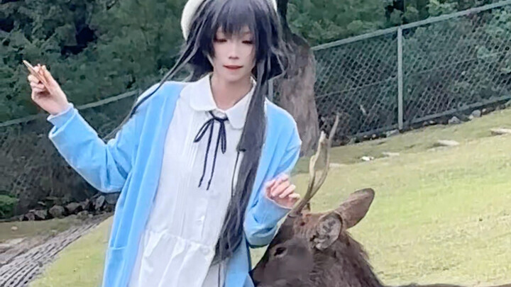 مختصرًا: تم تهويل الموضوع.