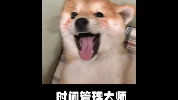 Kelola waktu dengan baik, setiap hari harus penuh dan bahagia!