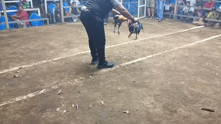 2nd fight win Elorde January 8, 2026