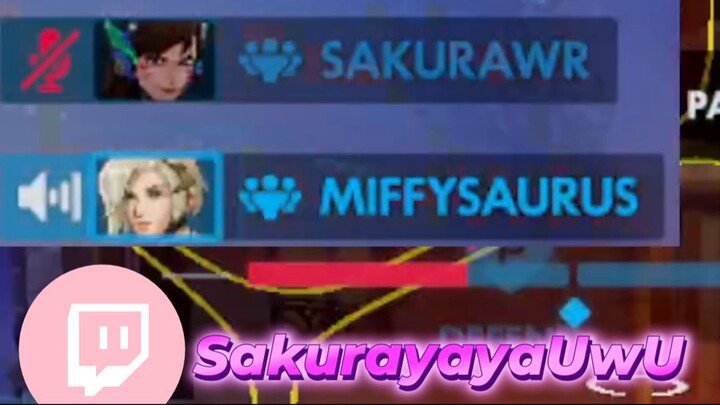 they really didn’t expect that 😭🐾