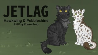 Warrior Cats PMV - Jetlag [Hawkwing & Pebbleshine] | 🐈 Funkenherz